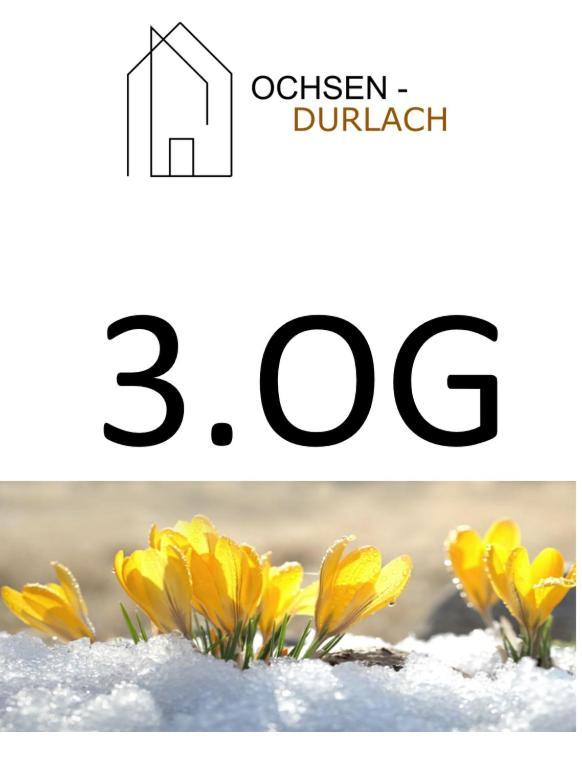 Ochsen-Durlach 카를스루에 객실 사진