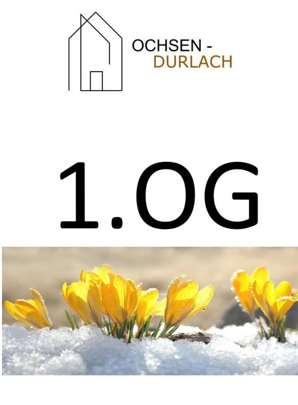 Ochsen-Durlach 카를스루에 외부 사진